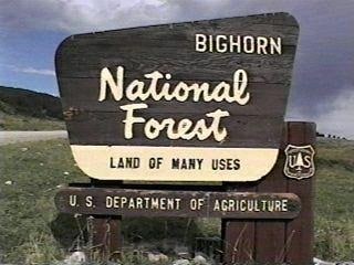 Bighorn National Forest Sign