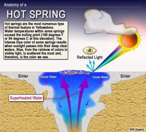 How the Spring was formed