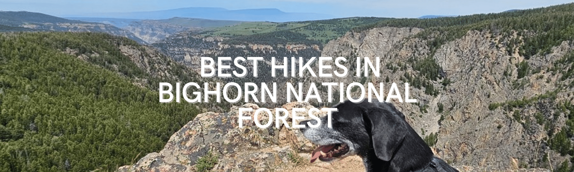 Best Hikes in Bighorn National Forest