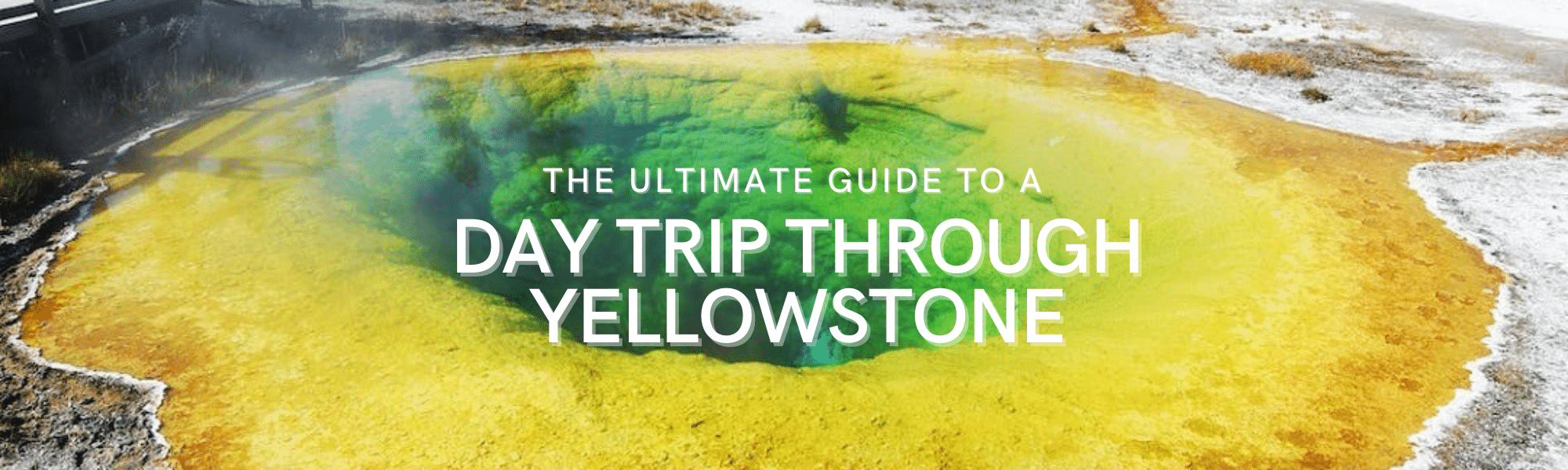 Day Trip Through Yellowstone