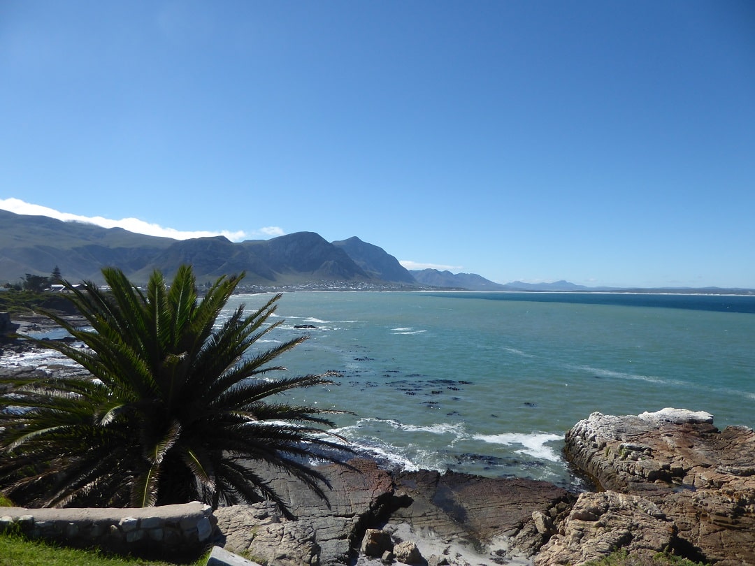 Best View of Hermanus, Garden Route Tour South Africa