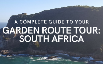 A Complete Guide to Garden Route Tour South Africa