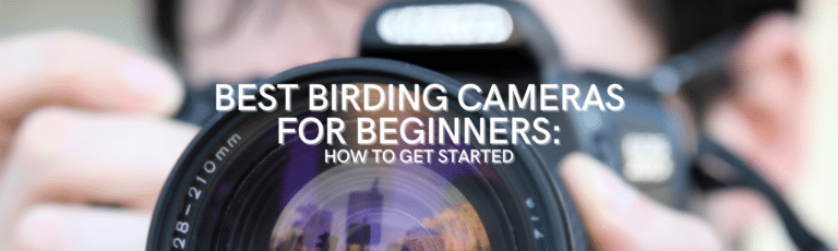 Best Birding Camera for Beginners: How to Get Started