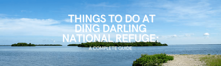 Things to Do at Ding Darling Wildlife Refuge: A Complete Guide