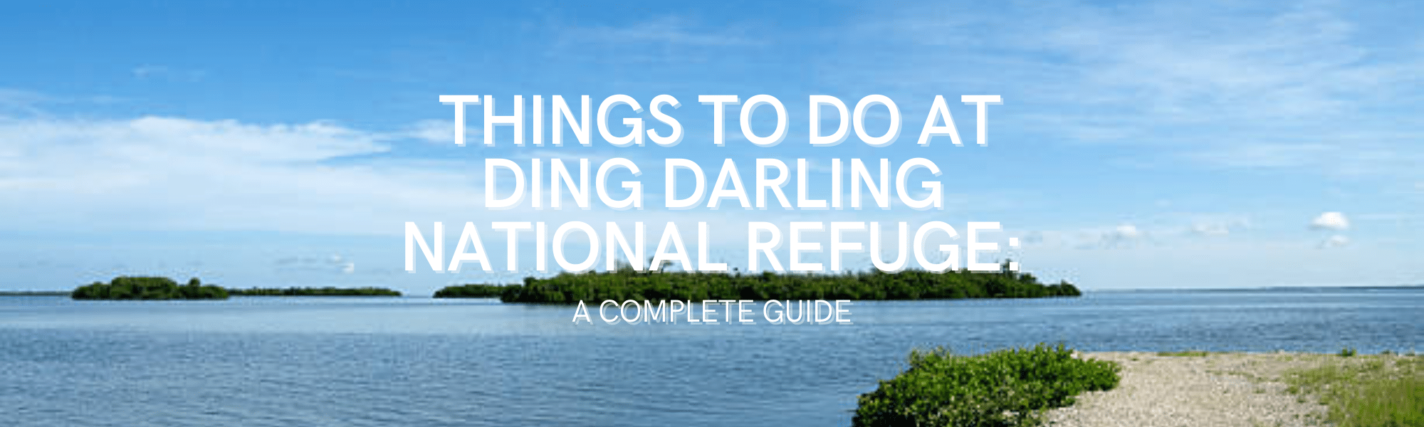Things to Do At Ding Darling National Refuge