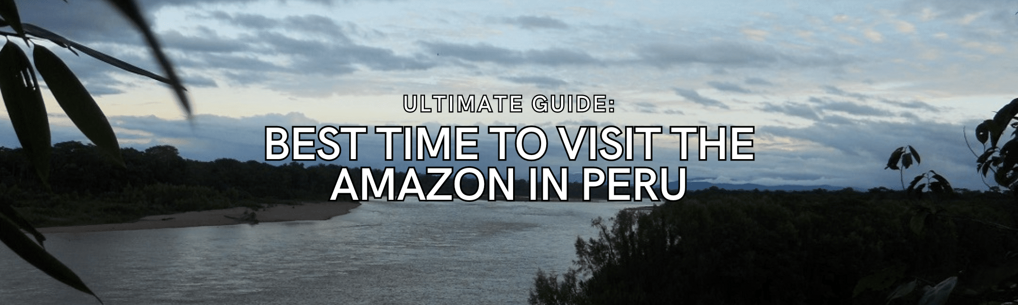Best Time to Visit the Amazon in Peru