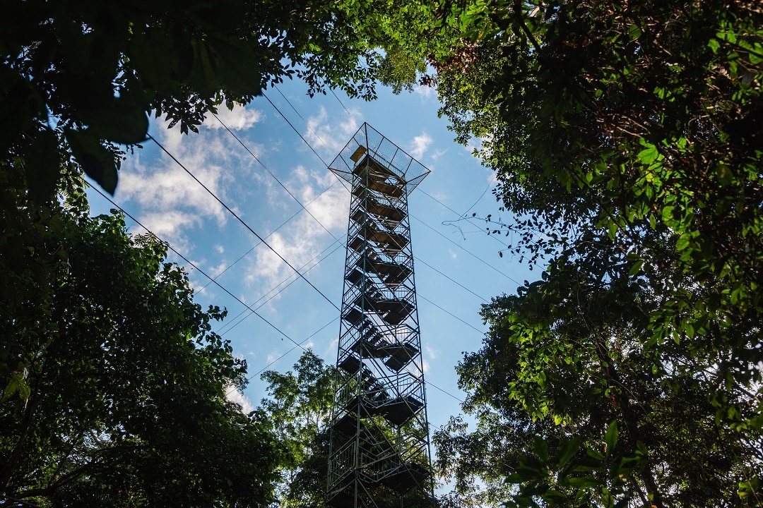 Refugio Amazonas - Canopy Tower