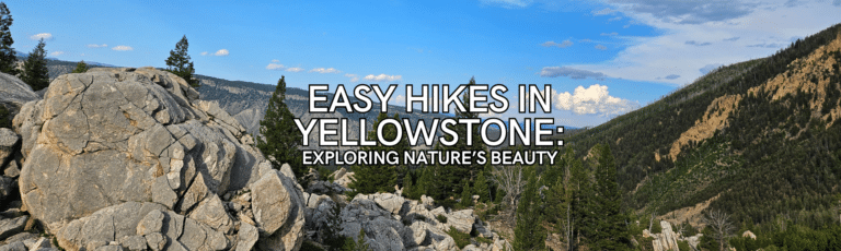 Easy Hikes in Yellowstone National Park: Exploring Nature’s Beauty