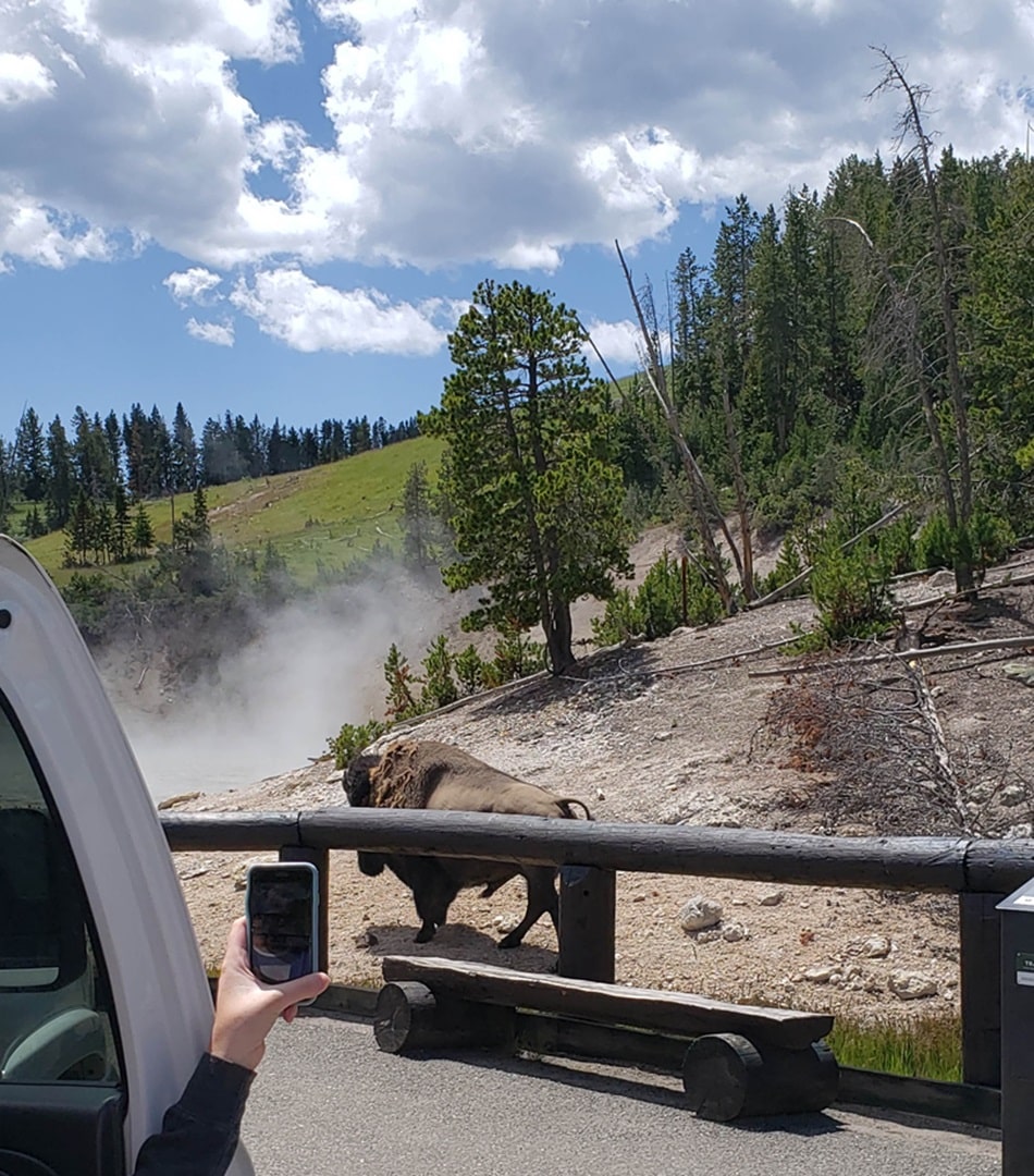 Mud Volcano Trail - Easy Hikes in Yellowstone