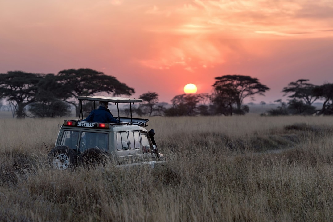 Safari Jeep at Sunset