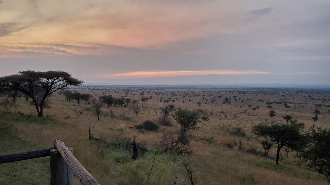 View of Serengeti