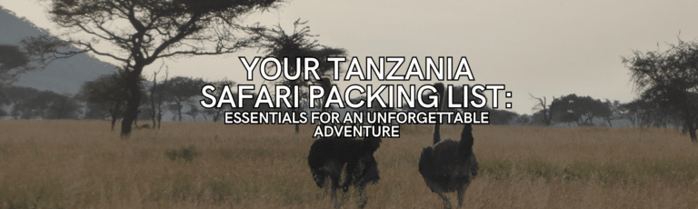 Tanzania Safari Packing List: Essentials For Your Adventure