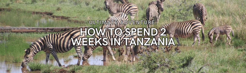 2 weeks in Tanzania