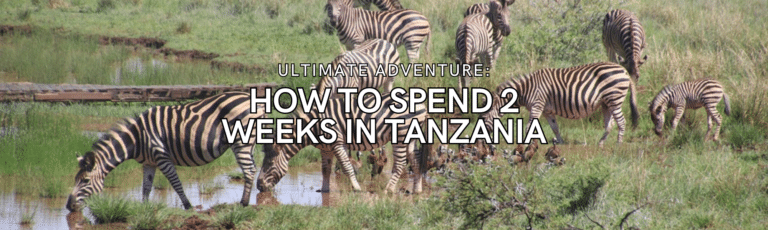 Ultimate Adventure: How to Spend 2 Weeks in Tanzania