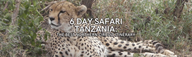 6 Day Safari Tanzania: The Best Northern Circuit Itinerary