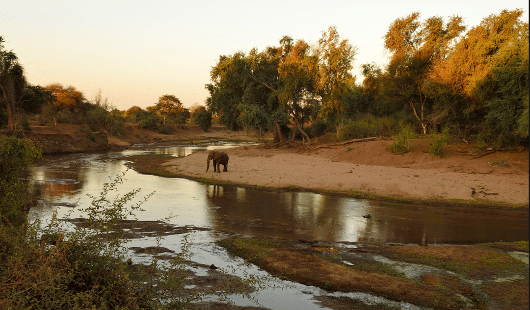 Kruger National Park View