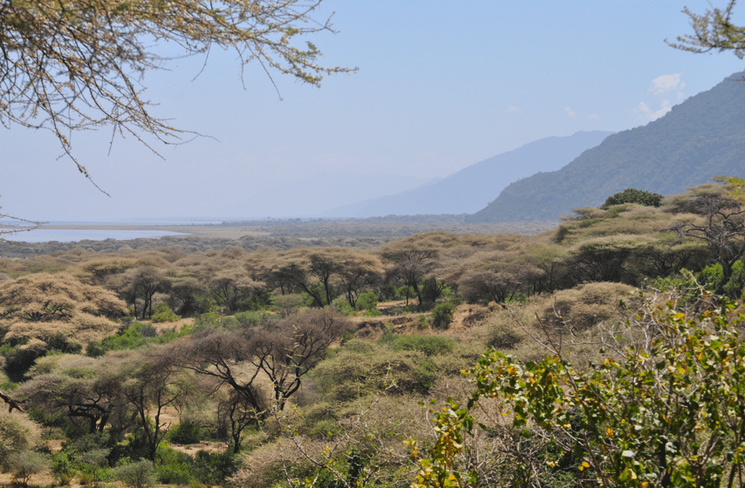 Is Lake Manyara Worth Visiting?