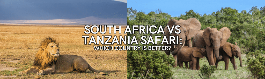South Africa vs Tanzania Safari