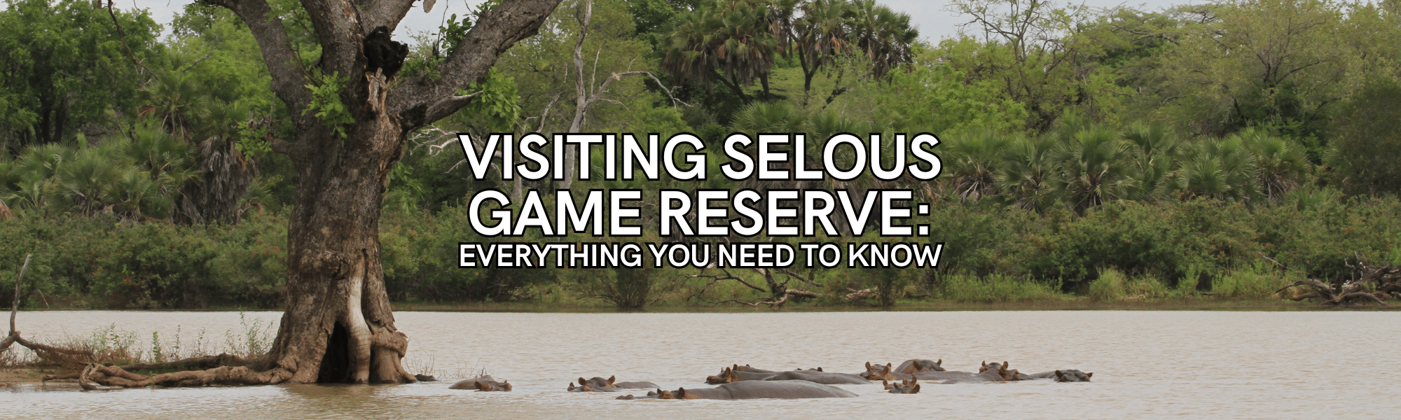 Visiting Selous Game Reserve