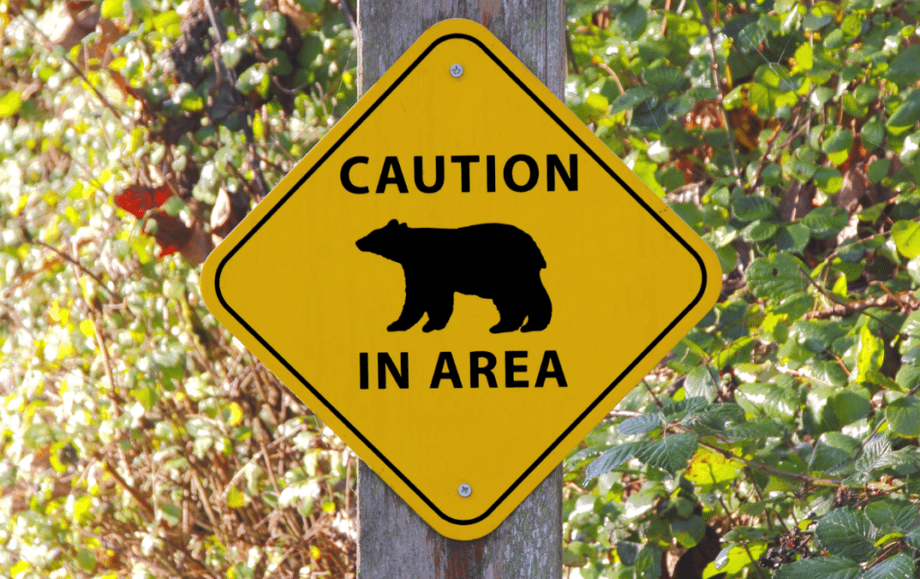 Caution Bear In Area Sign