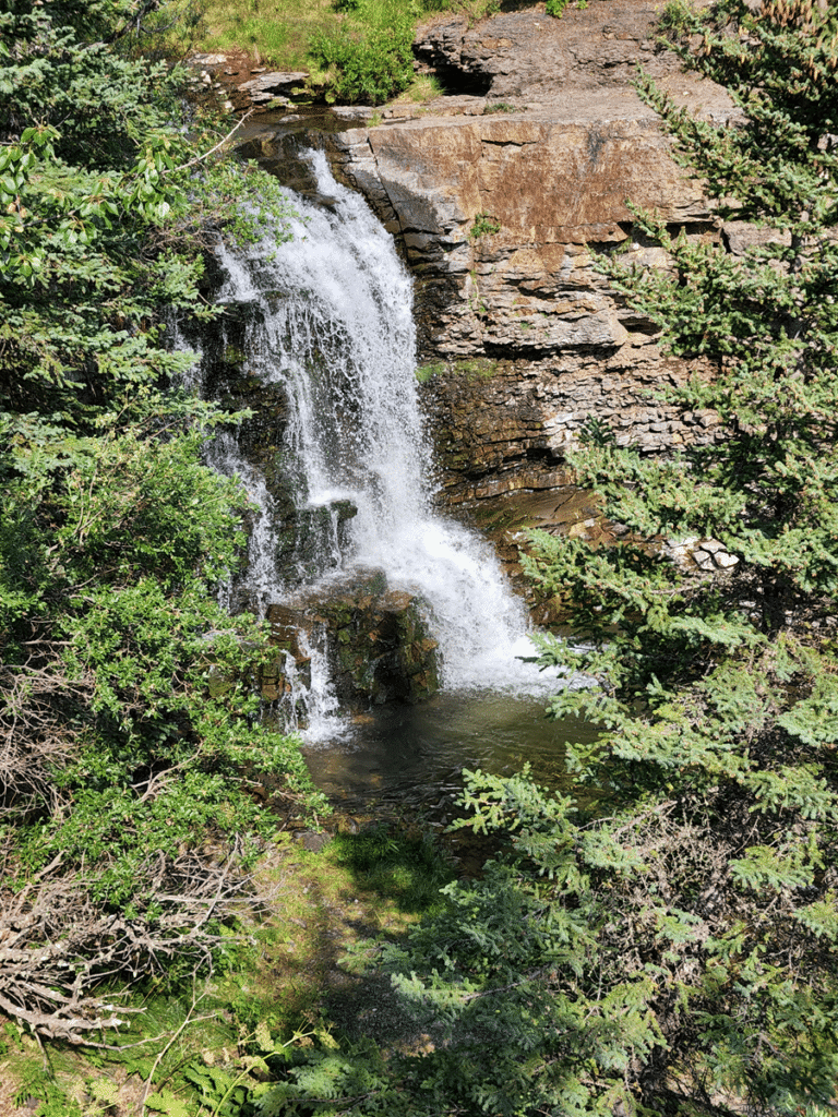Dyson Falls
