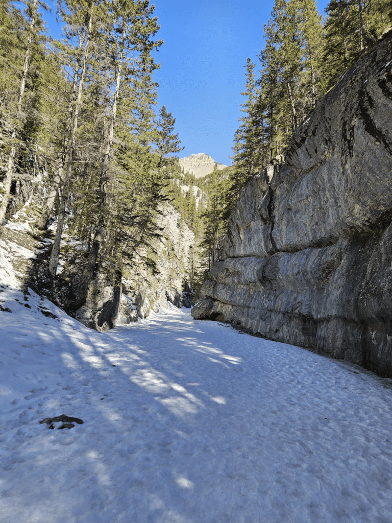 Grotto Canyon Walls