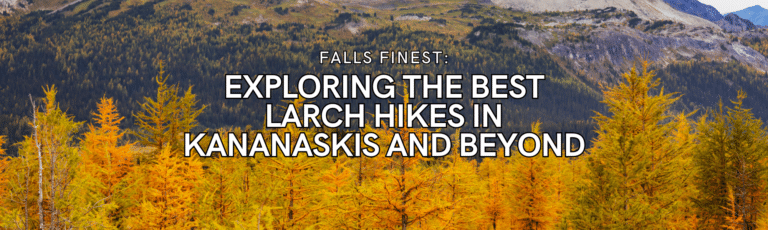 Exploring The Best Larch Hikes in Kananaskis And Beyond