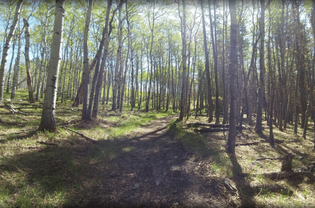 Long Prairie & Pine Ridge Loop