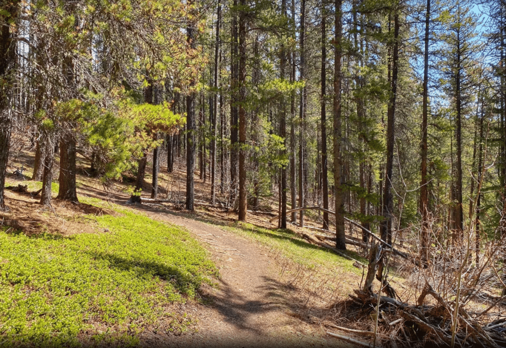 Ridgeback Trail Loop