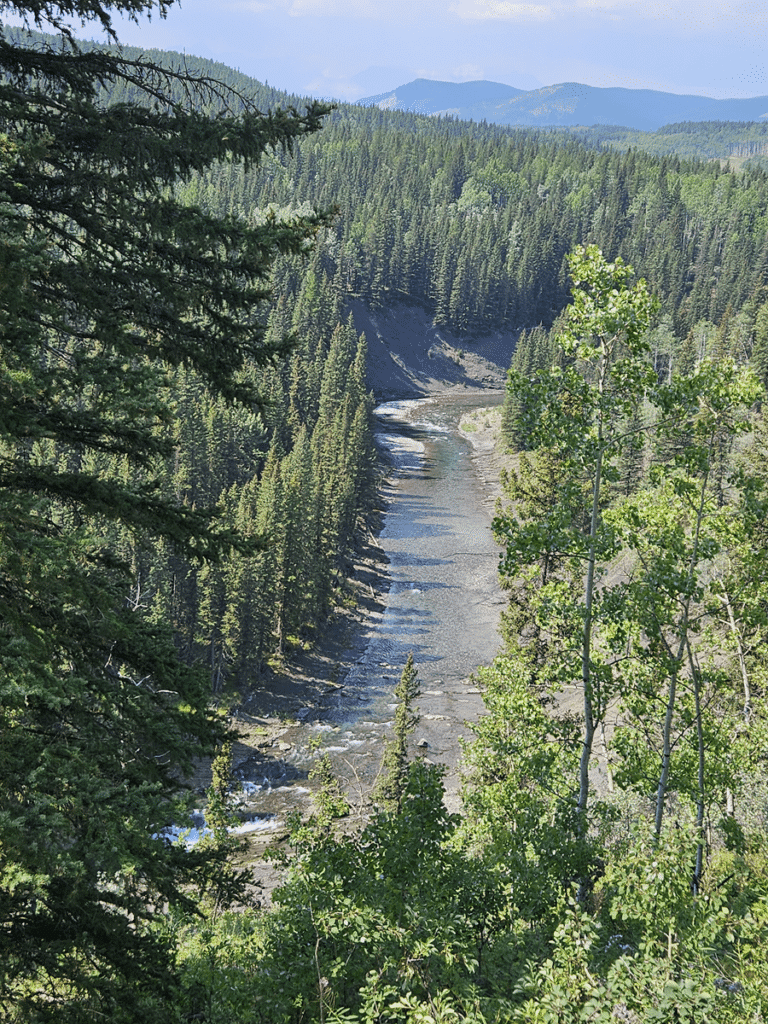 Sheep River from Foran Grade Hike