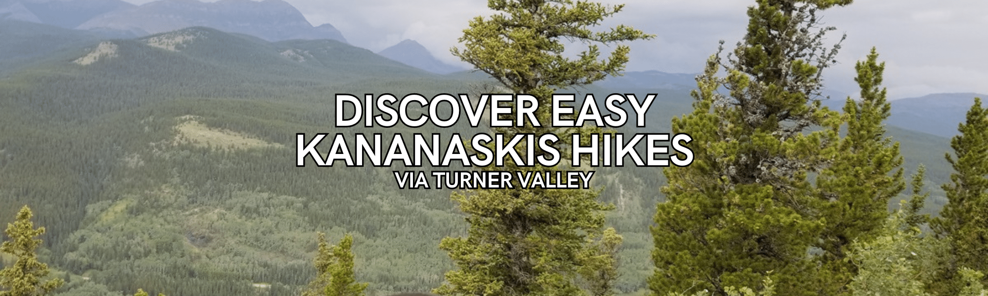discover easy kananaskis hikes