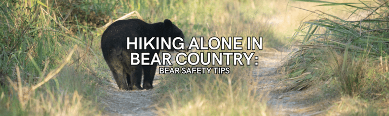 Hiking Alone in Bear Country: Bear Safety Tips