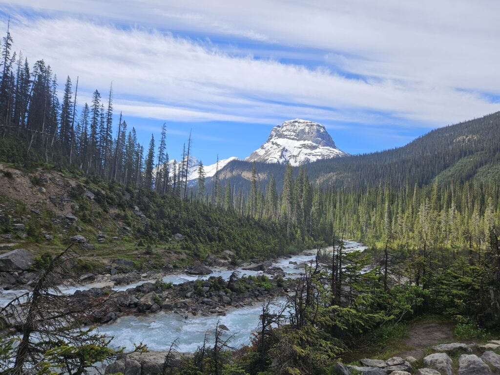 Cathedral Mountain View