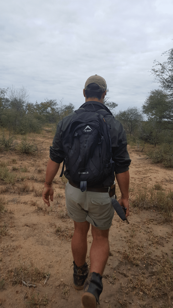 Guide on Walking Safari