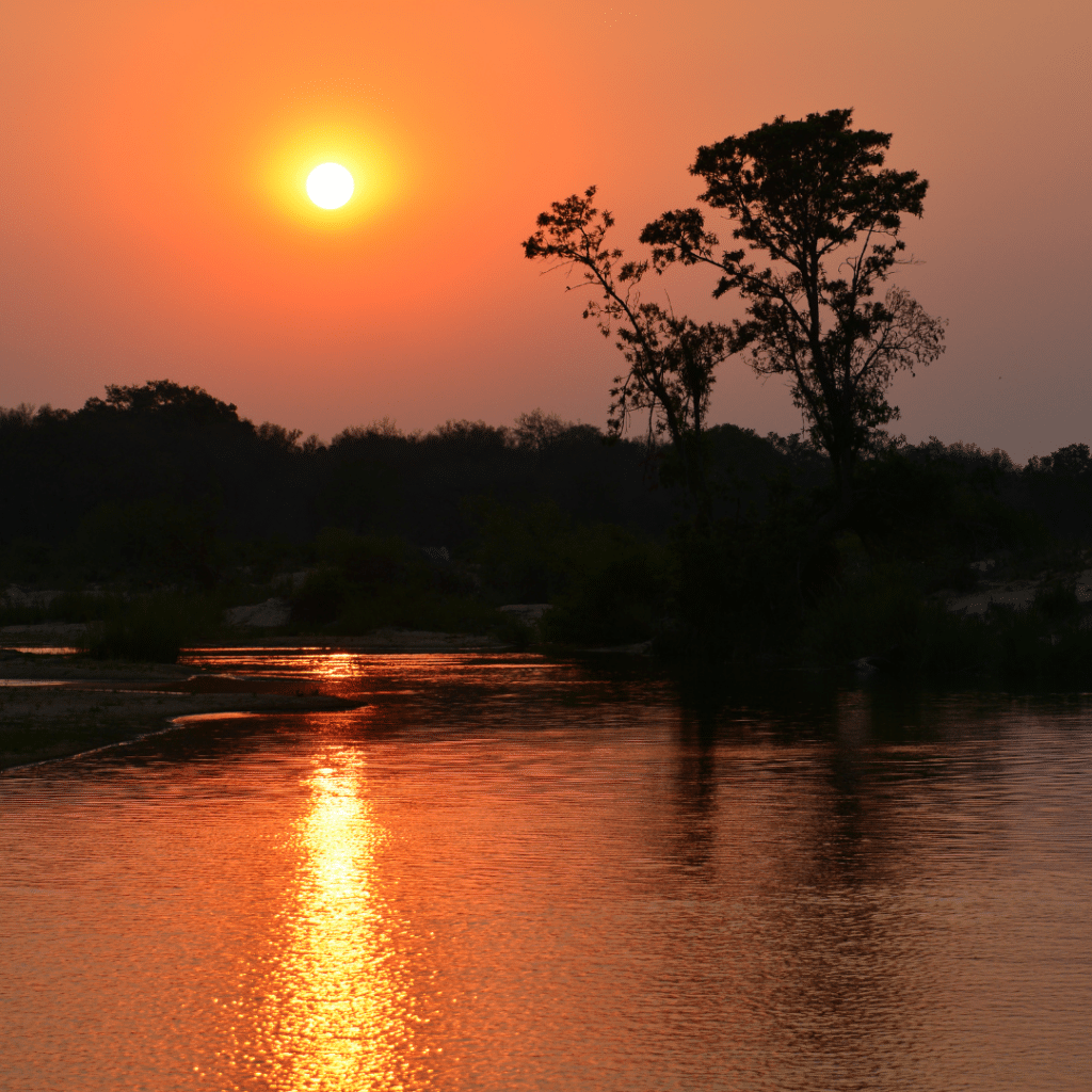 Sunset in Klaserie Reserve
