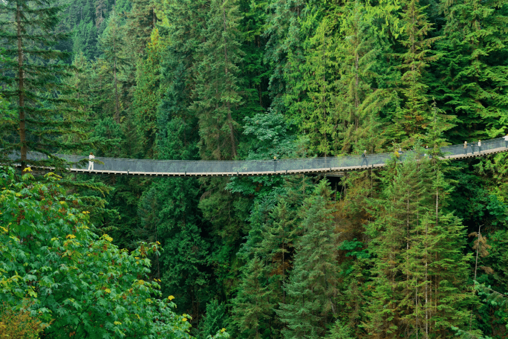 Capilano Suspension Bridge