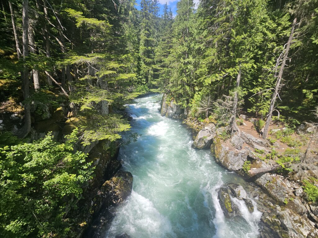 Cheakamus River