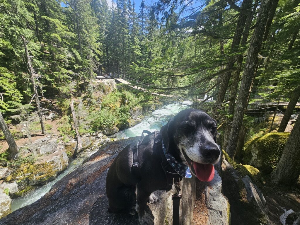 Cheakamus Suspension Bridge