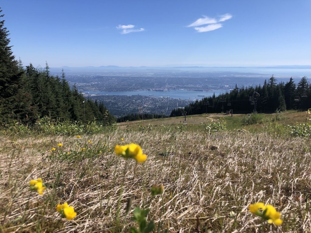 Grouse Grind