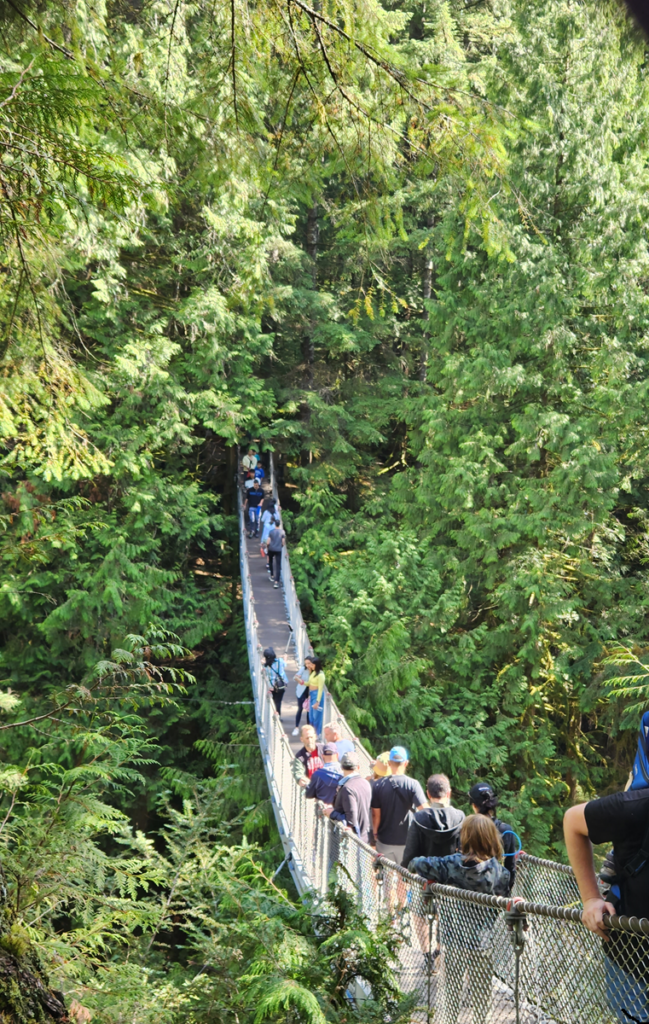 Lynn Canyon Suspension Bridge