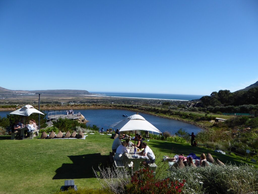 Cape Point Vineyards