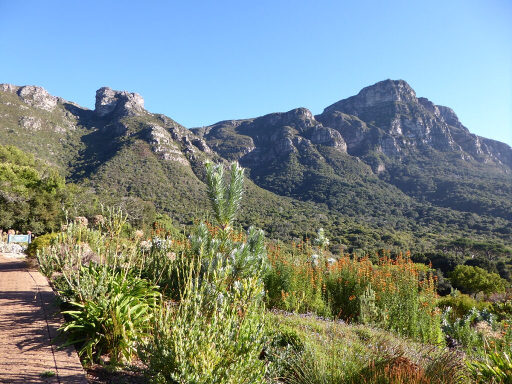 Kirstenbosch Gardens