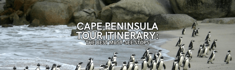 cape peninsula tour