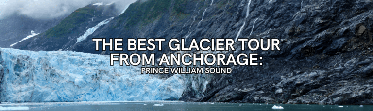 best glacier tour from anchorage