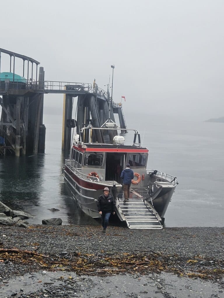 lazy otter charters