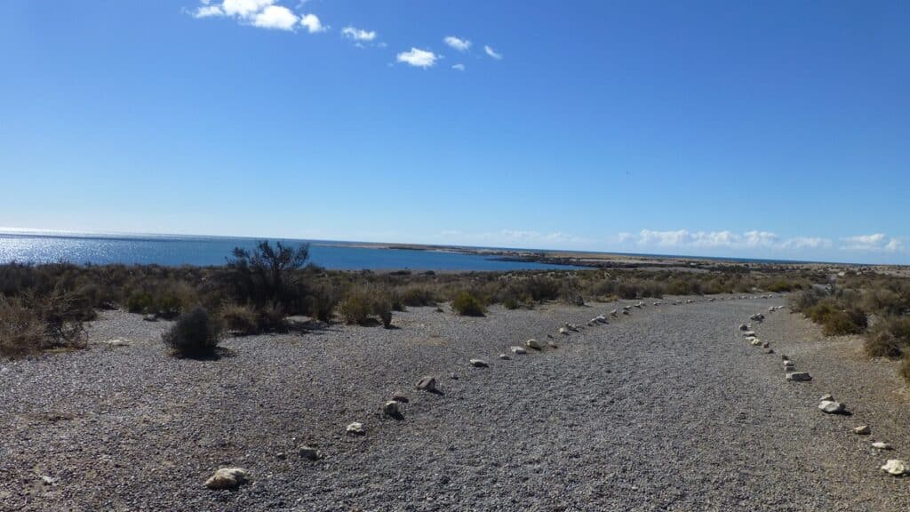 Punta Tombo View