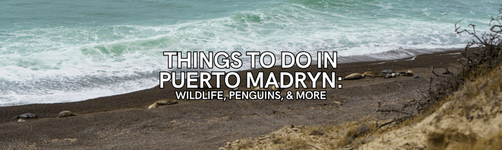 Things To Do in Puerto Madryn