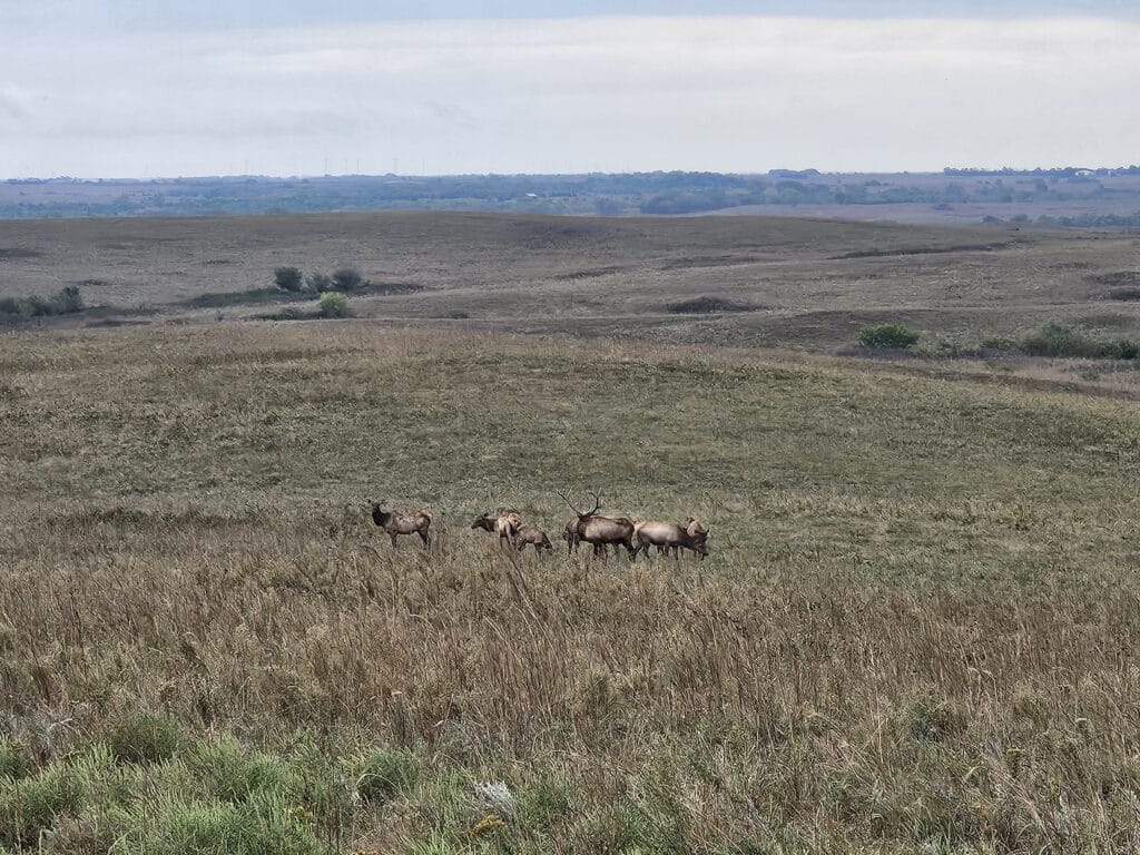 Maxwell Wildlife Refuge