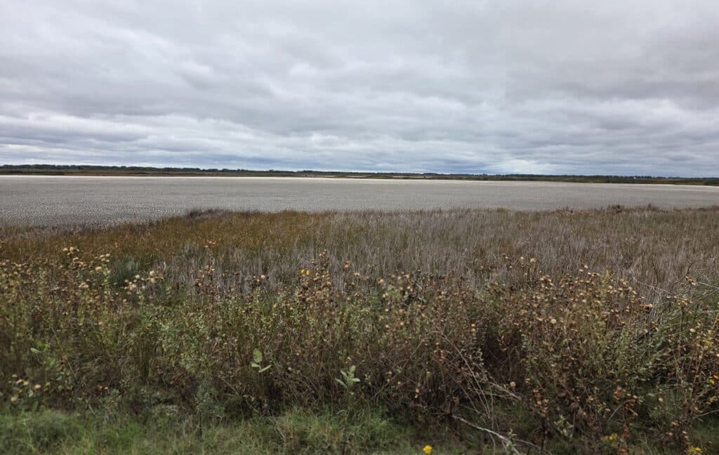 Big Salt Marsh
