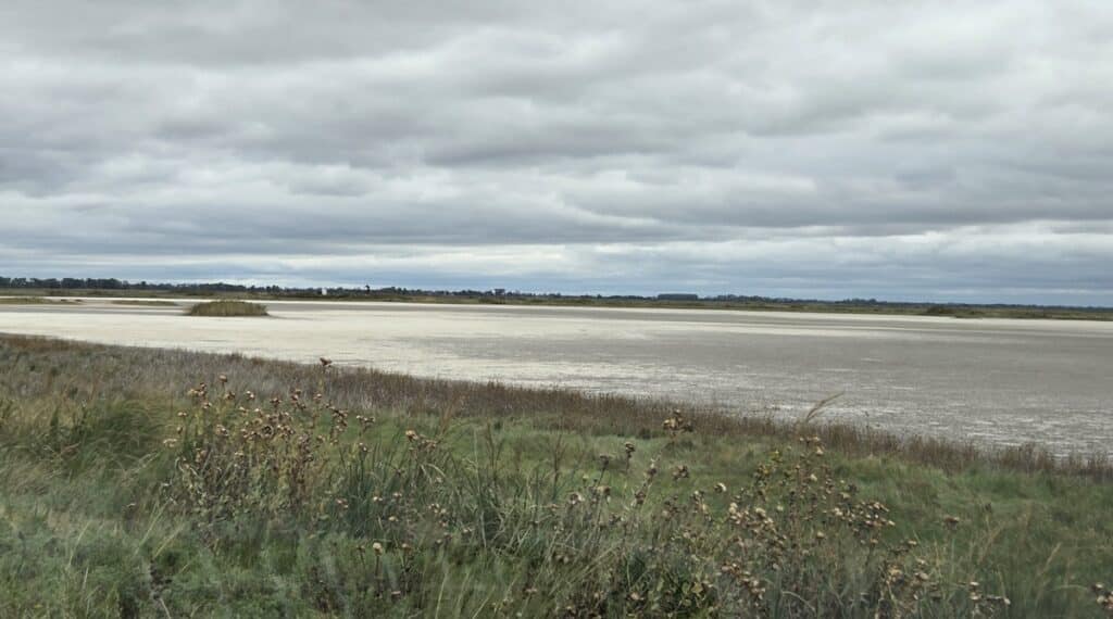 Big Salt Marsh - Quivira